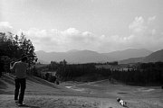 kk101863.jpg