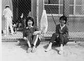 kk104469.jpg