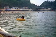 kk103765.jpg