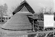 kk101831.jpg