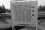 kk101832.jpg