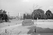kk101836.jpg