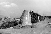 kk101839.jpg