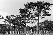 kk101841.jpg