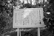 kk101846.jpg