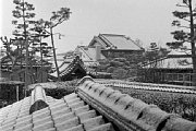 kk103667.jpg