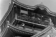 dousou10105.jpg