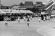 dousou10196.jpg