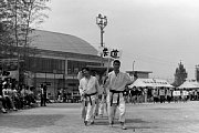 dousou10206.jpg
