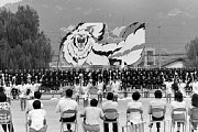 dousou10213.jpg