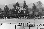 dousou10222.jpg