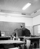 dousou10040.jpg