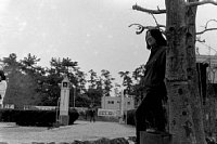 dousou10052.jpg