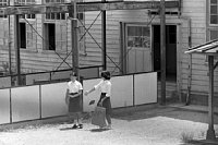dousou10367.jpg