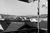 dousou10431.jpg