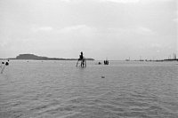 dousou10445.jpg