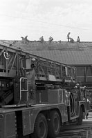 dousou10492.jpg